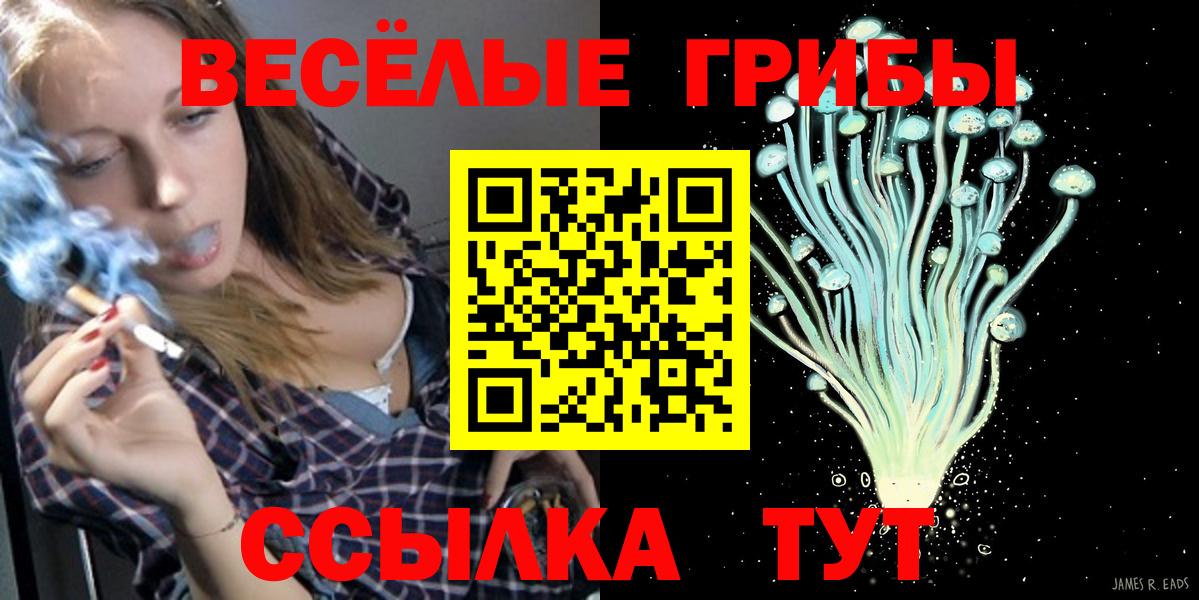 Реутов  Псилоцибиновые грибы GOLDEN TEACHER  Вход с VPN 
